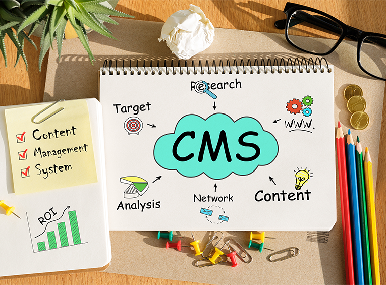 CMS Development Services